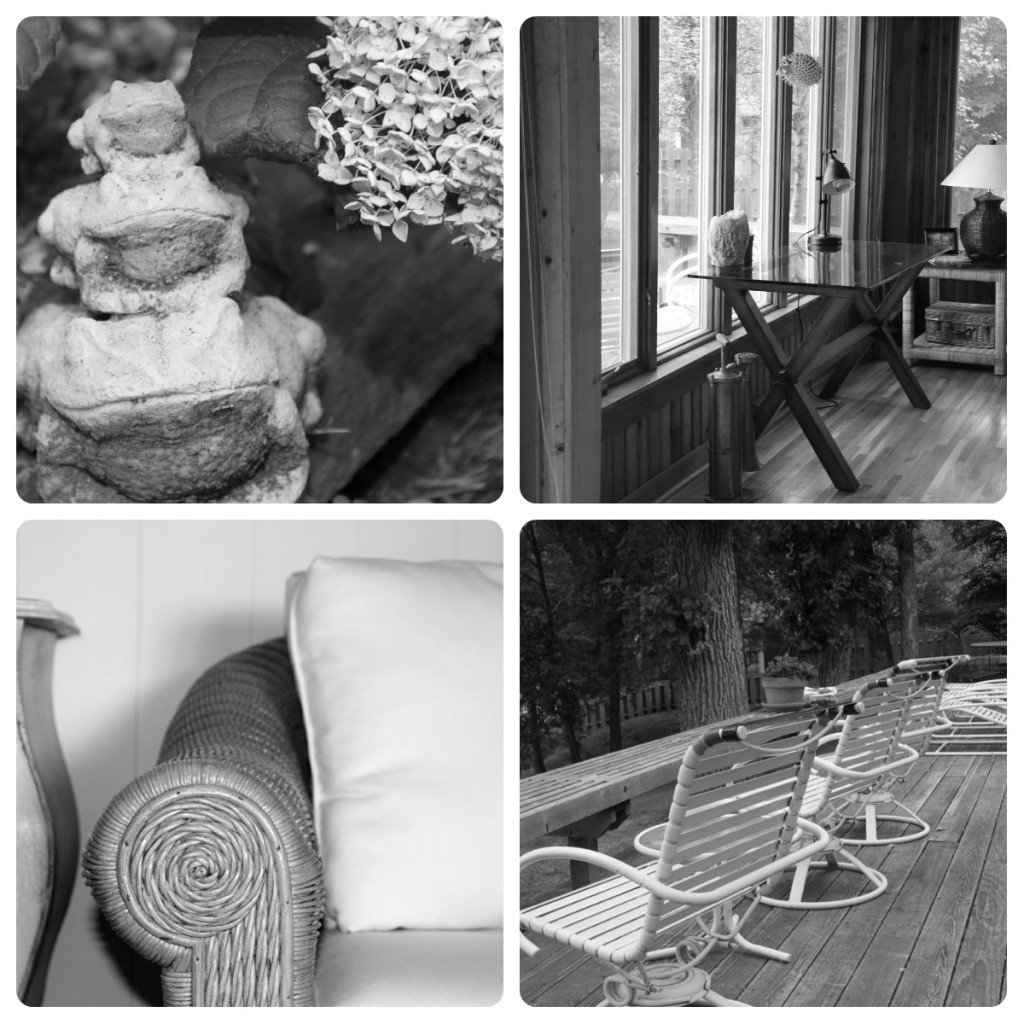collage of lake house
